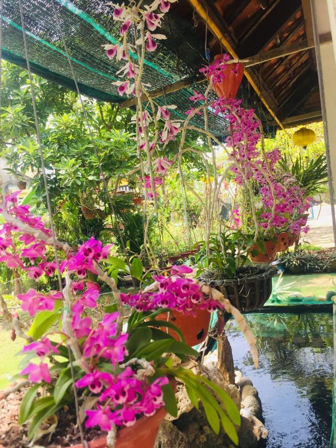 Do River Homestay Hoi An Exteriör bild