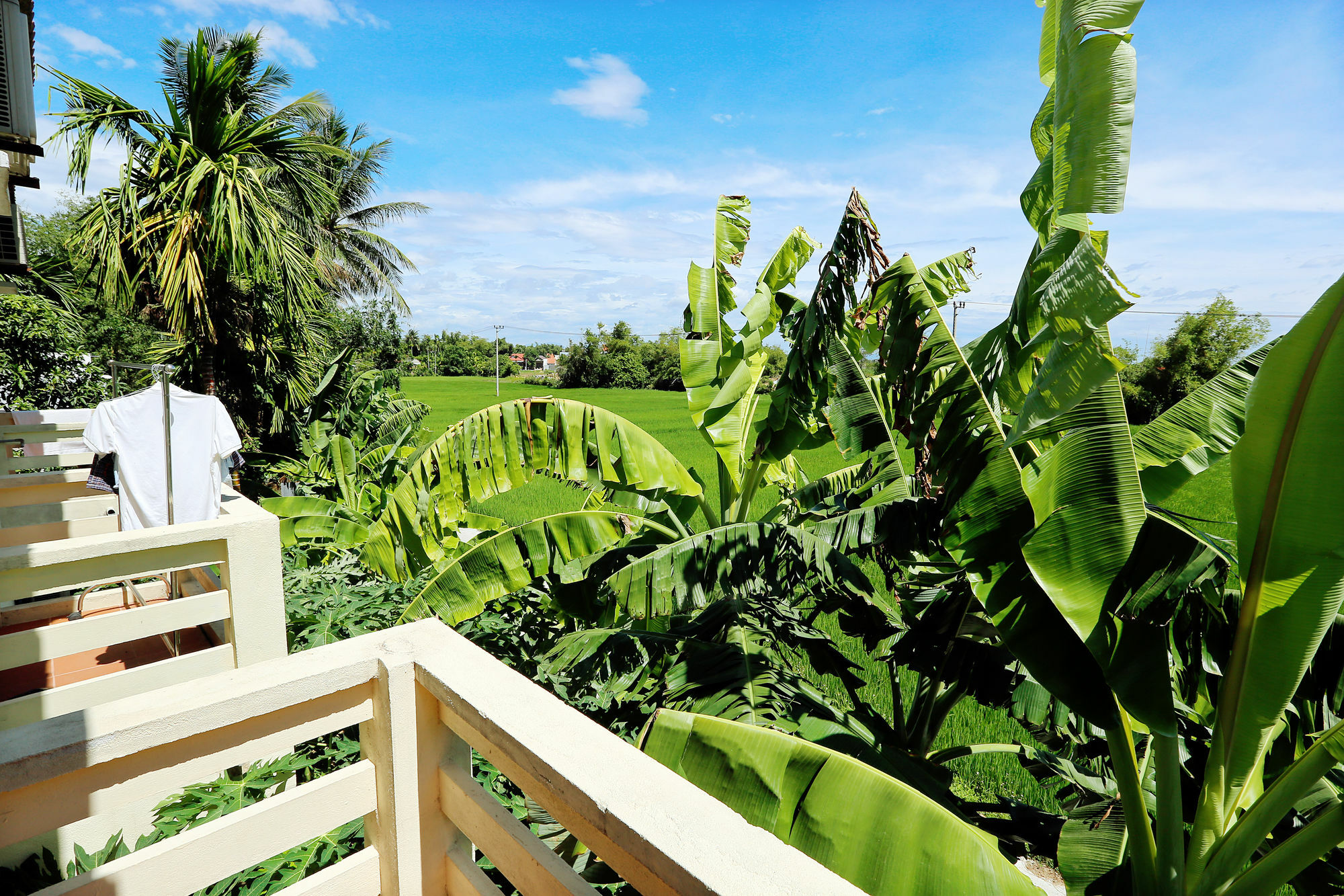 Do River Homestay Hoi An Exteriör bild
